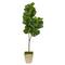 5.5ft. Fiddle leaf Fig Artificial Tree in Country White Planter